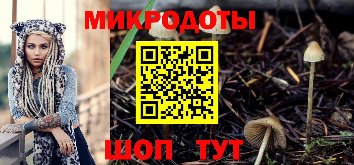 Псилоцибиновые грибы MAGIC MUSHROOMS Анжеро-Судженск